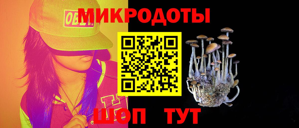Псилоцибиновые грибы Psilocybine cubensis Рыбинск